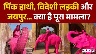 Jaipur Pink Elephant Photoshoot: विदेशी लड़की, पिंक हाथी, फोटोशूट, क्यों भड़का विवाद?। Top News
