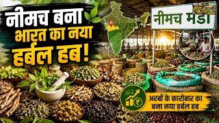 Neemuch Herbal Hub: India's New Center for the Herbal Trade