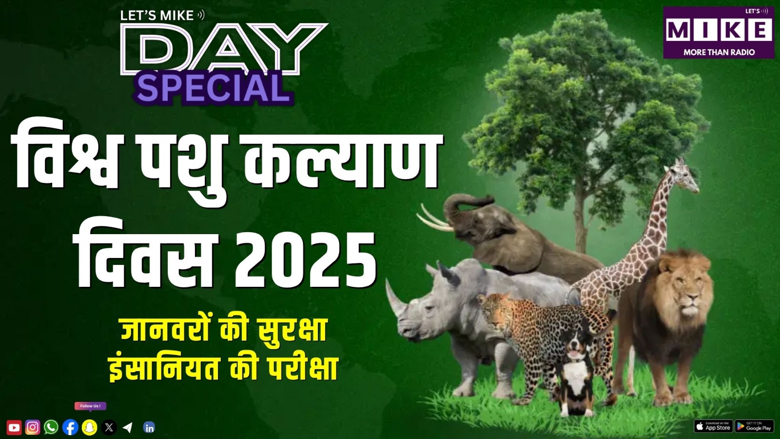 विश्व पशु कल्याण दिवस 2025 | जानवरों की सुरक्षा और इंसानियत की परीक्षा