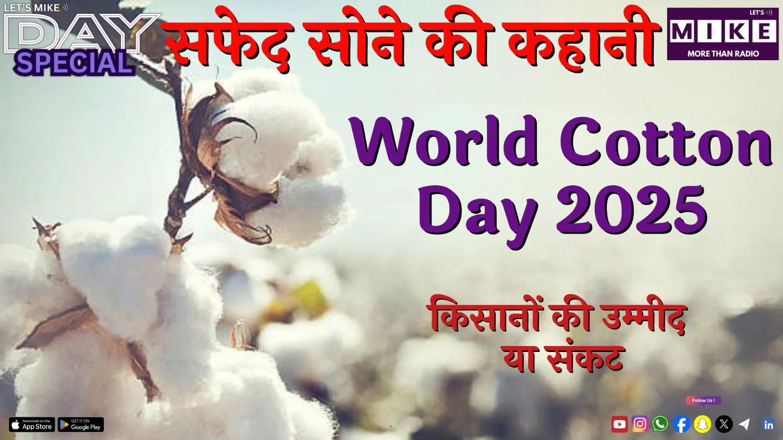 सफेद सोने की कहानी | World Cotton Day 2025: किसानों की उम्मीद या संकट?