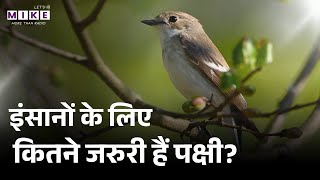 National Bird Day 2026: इंसानों के लिए कितने जरुरी हैं पक्षी? | Birds