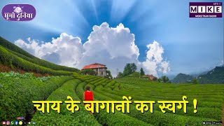 Kerala’s Most Beautiful Place | Munnar | South India | Kolukkumalai | चाय के बागानों का स्वर्ग