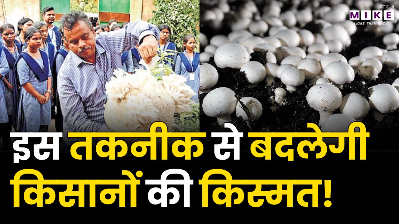 Mushroom Farming | इस तकनीक से बदलेगी किसानों की किस्मत! | Good News | Agriculture