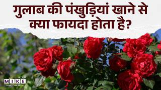 गुलाब के फूल के फायदे | Health Benefits of Rose Flower | Rose Petals | Benefits and Uses