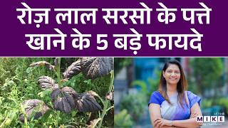 रोज़ लाल सरसो के पत्ते खाने के 5 बड़े फायदे | 5 Major Benefits of Eating Red Mustard Leaves Daily