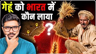 गेहूं की रोटी का इतिहास: एक मामूली घास दुनिया की सबसे बड़ी फसल कैसे बनी ? | History of Wheat