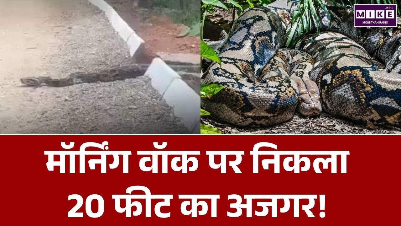 Hyderabad News: मॉर्निंग वॉक पर निकला 20 फीट का अजगर | KBR National Park Python Viral Video