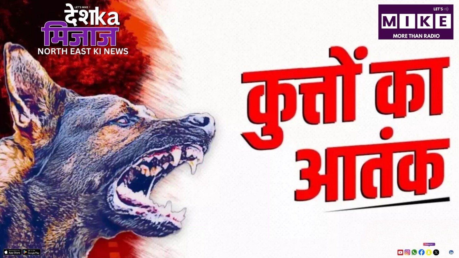 पूर्वोत्तर में कुत्तों का आंतक | देश का मिजाज उत्तर पूर्व