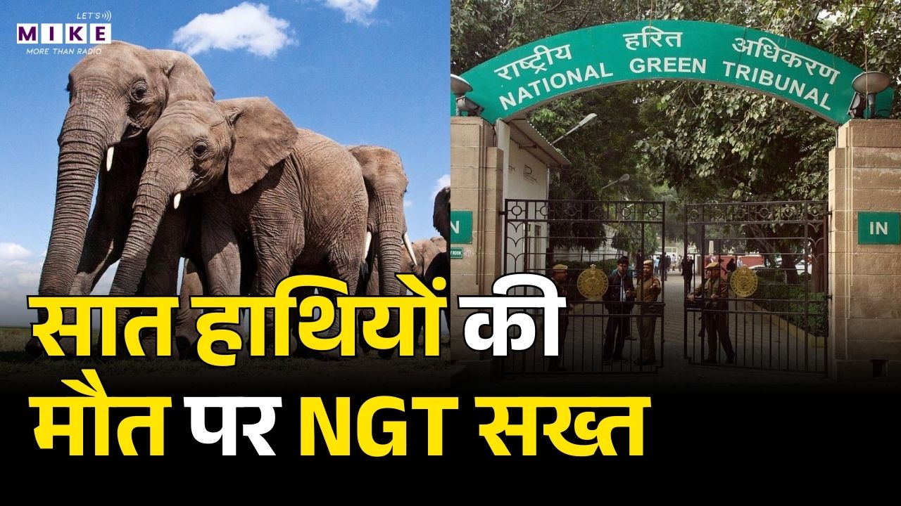 Elephant Death: सात हाथियों की मौत पर NGT सख्त | Latest News | Breaking News