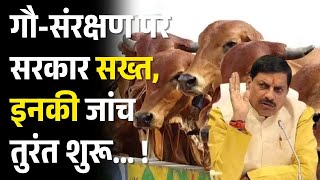 गौ-संरक्षण पर सरकार सख्त, इनकी जांच तुरंत शुरू.. ! CM Mohan Yadav | Latest News | Top News