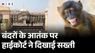 UP News: बंदरों के आतंक पर हाईकोर्ट ने दिखाई सख्ती | Allahabad Highcourt | Latest News