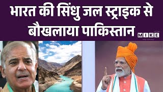 Bharat की सिंधु जल स्ट्राइक से बौखलाया Pakistan | Narendra Modi | Top News | Indus Waters Treaty