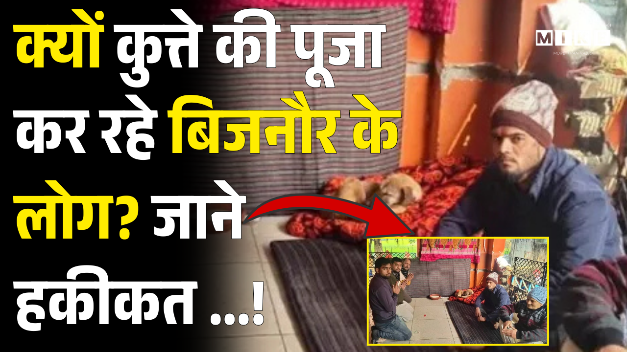 Bijnor Dog Viral Video: कुत्ते की पूजा कर रहे बिजनौर के लोग? जानें चमत्कारी Dog की हकीकत! Fact Chec