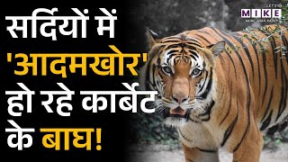 Jim Corbett Tiger Attack: सर्दियों में 'आदमखोर' हो रहे कार्बेट के बाघ | Latest News