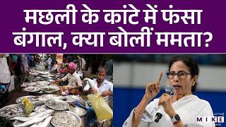 Mamata Banerjee Latest News : मछली के कांटे में फंसा बंगाल, क्या बोलीं ममता? | Fish Politics