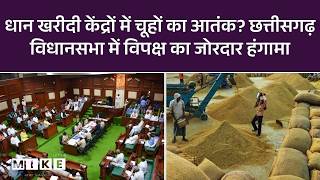 Chhattisgarh Assembly में बवाल! धान चूहों के खाने पर स्थगन प्रस्ताव खारिज | Latest Update | CG Govt