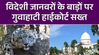 Assam News: विदेशी जानवरों के बाड़ों पर गुवाहाटी हाईकोर्ट सख्त | Latest News | Gauhati High Court