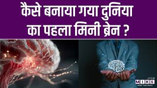 Mini Brain : कैसे बनाया गया दुनिया का पहला मिनी ब्रेन ? | Scientists | Brain Health