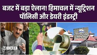 Himachal Pradesh: बजट में बड़ा ऐलान! हिमाचल में न्यूट्रिशन पॉलिसी और डेयरी इंडस्ट्री NDDB