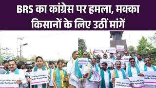 Maize Price Issue: BRS का कांग्रेस पर हमला, मक्का किसानों के लिए उठीं मांगें | Top | Latest Update