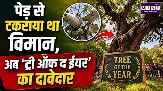 पेड़ से टकराया विमान, अब ‘Tree of the Year’ का दावेदार | Plane Crash Tree | Tree of the Year 2026
